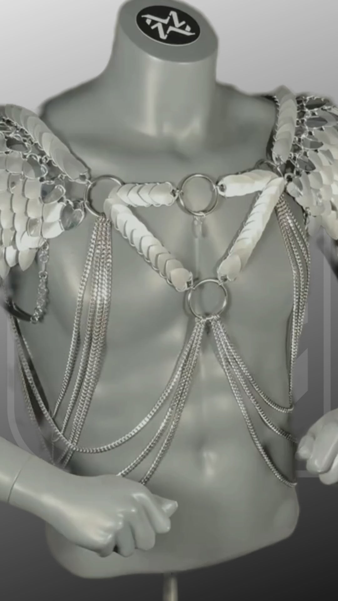 Silber Harness Video davon